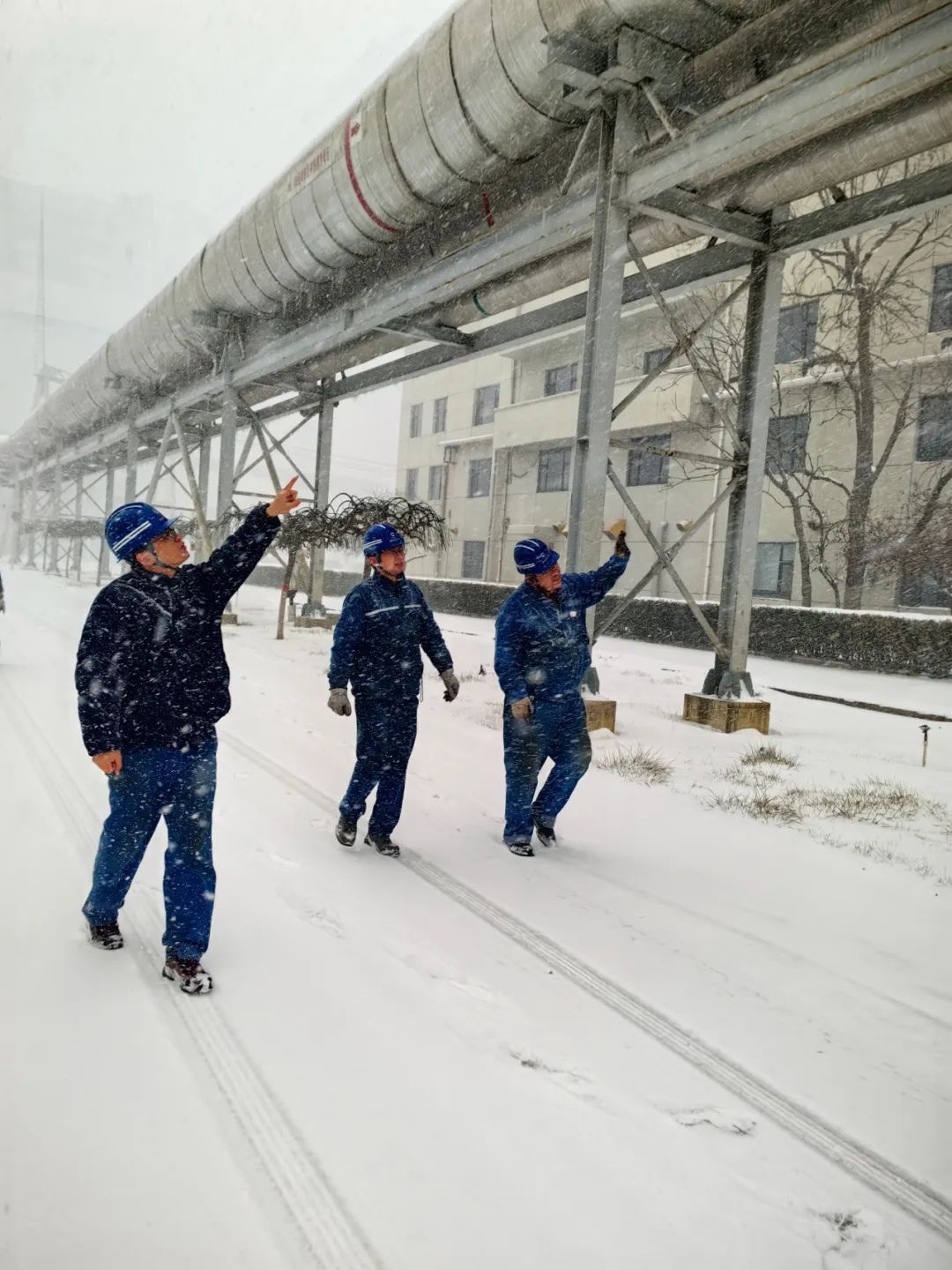 辉达娱乐全力迎战大雪来袭 多措并举保障供应